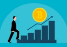 Bitcoin's  Price History
